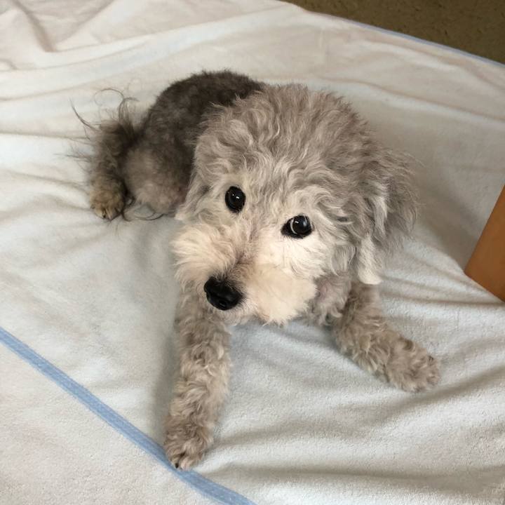 F8e254b9 85a0 459b 90e4 d62b62f5bb21 1531699072741