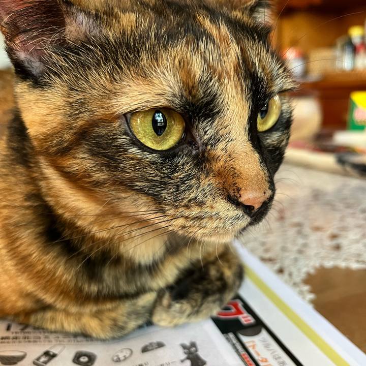 F8e27b9a 375a 4f45 9e25 b37f32610061 1662500070404