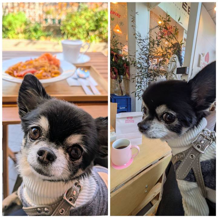 F8e27ce2 5e60 48e3 8d20 591c43c4b47d 1764633322890