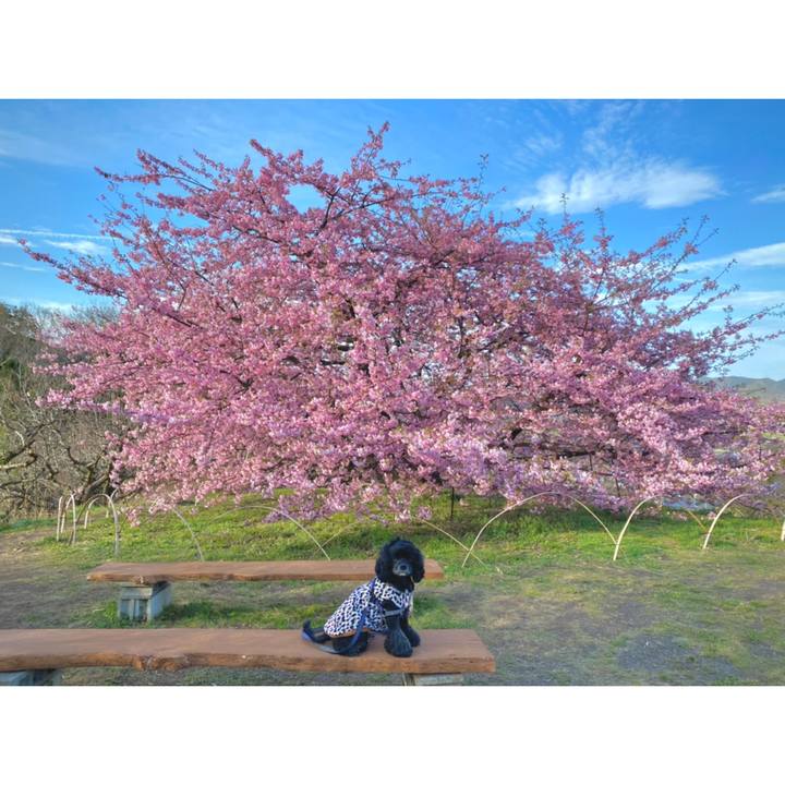 F8e2c074 d2a6 486c b1ef a8ea26571bbc 1614600554299