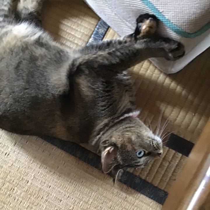 F8e3656e 902c 47d9 a62a a6d702367243 1661429953433