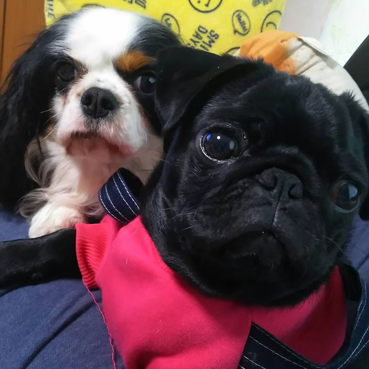 F8e37b46 22b5 4195 9622 efeb529514a7 1517718394846