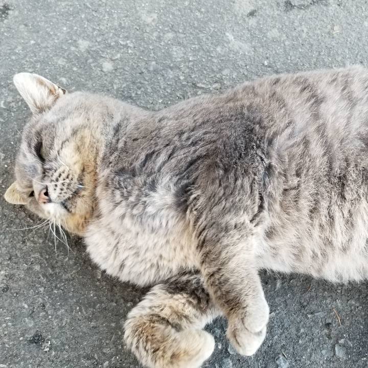 F8e37d76 cc85 4f99 9df3 beaa884dc59c 1545718516357