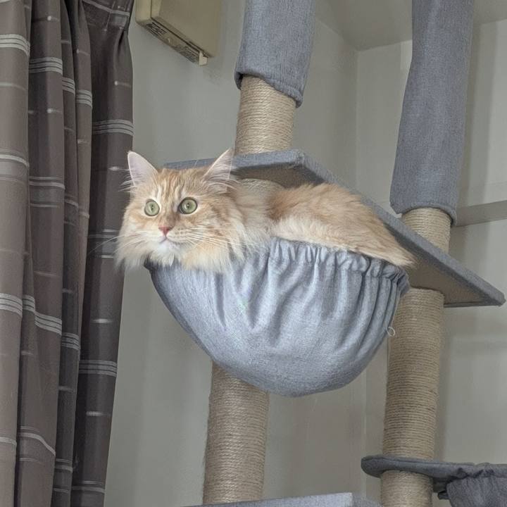 F8e3c38b 981c 4d3d 8176 97edbeadc49d 1753247737361