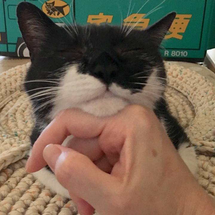 F8e3db10 b640 45df a1ee ea7024d14843 1533712409389