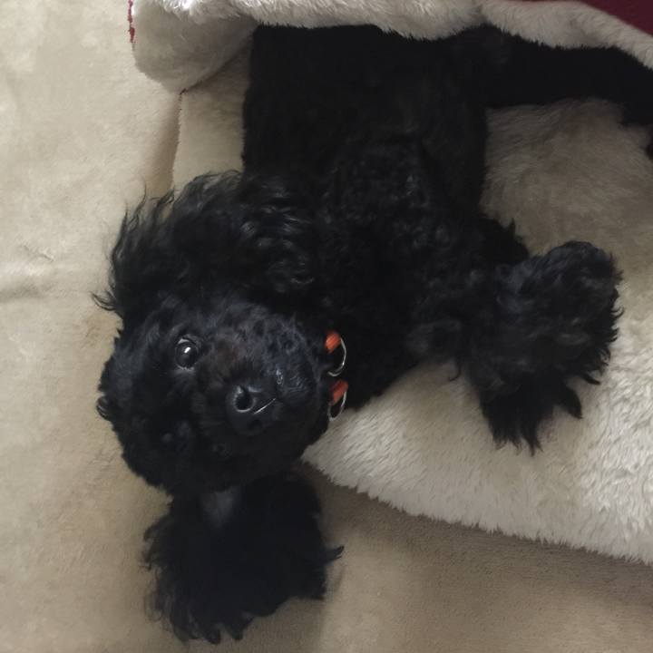 F8e3dd12 d8b1 46a6 a998 7a683d66ed1c 1532424998169