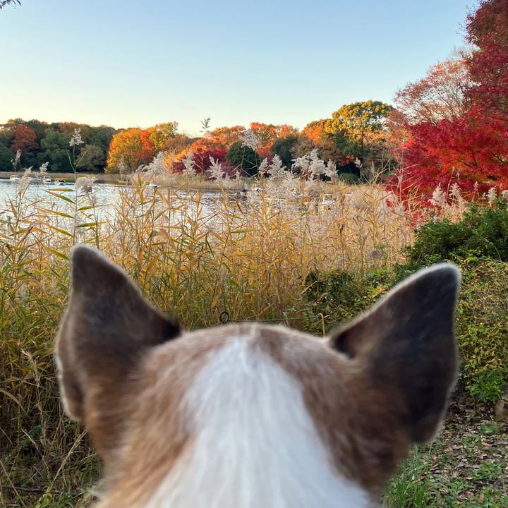 F8e4085c 7336 4672 a298 b73bede45a02 1733015806940