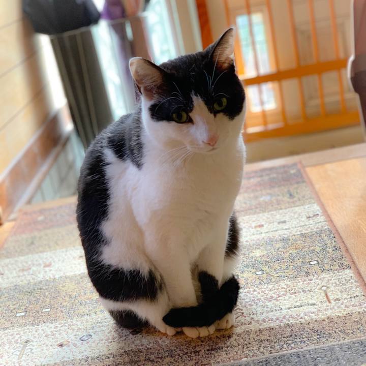 F8e437c8 d7a0 4820 8973 2051f9611635 1557281848531