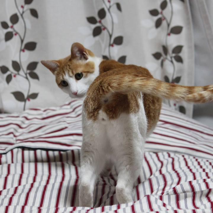 F8e43ed2 4bdf 424b acd5 f08bfb067d69 1517578111974