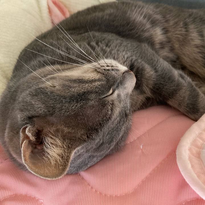 F8e4636d e6a2 43f1 928e f65c5e337def 1628310418629