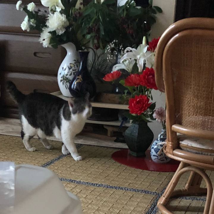 F8e467df ff98 47dd a534 17abac6d670b 1527246011772