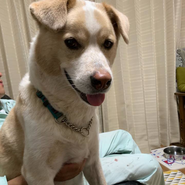 F8e46f95 b072 43af b2b0 14728bf2606d 1561983408757