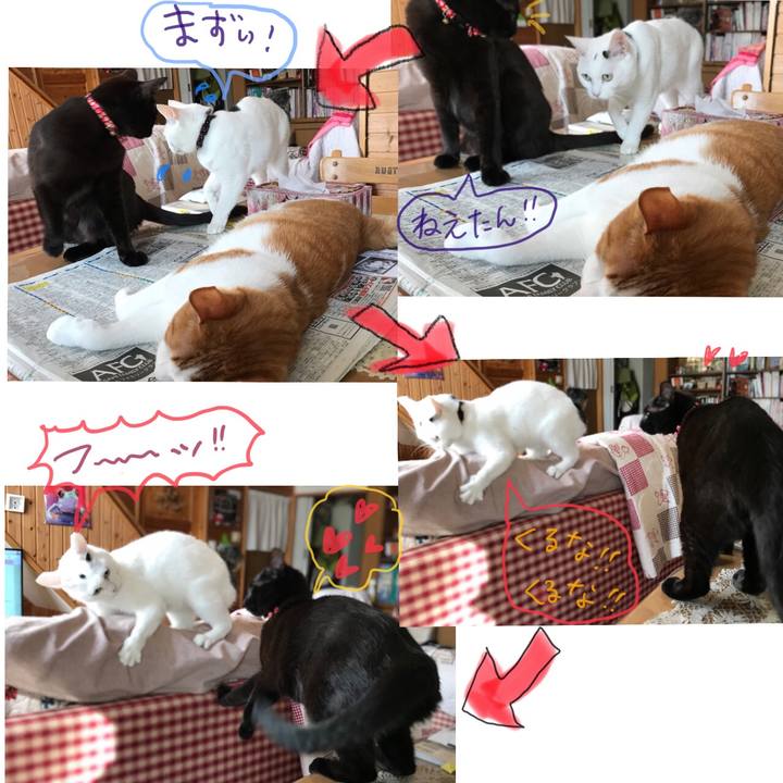 F8e49010 8b40 48ac 8ac3 637bda16defd 1590530275884