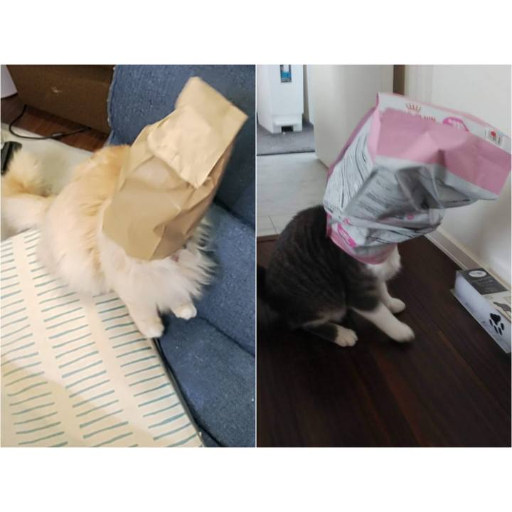 F8e49397 cabf 46a9 9ccd 0e8092304662 1714819506515