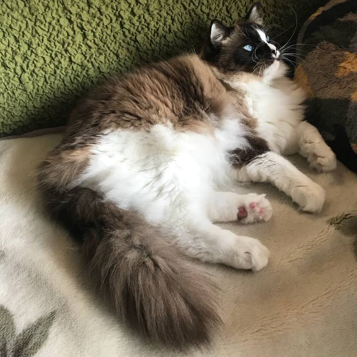 F8e4ade4 6413 42d4 8ba7 0d8d2ca756ad 1522330149064