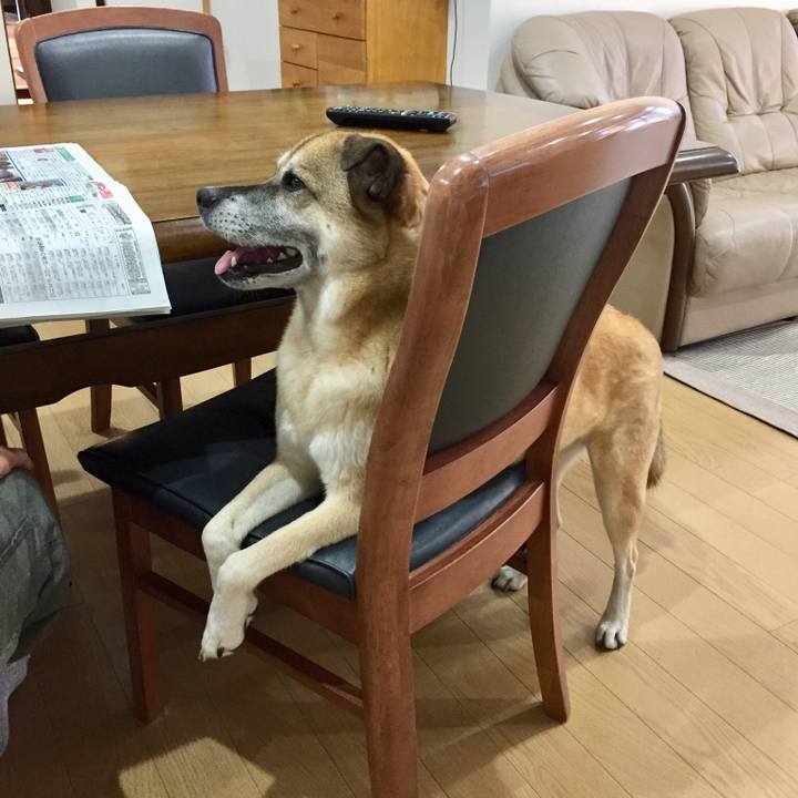 F8e4b787 01c4 4652 af22 0399077f7c2f 1534496164165