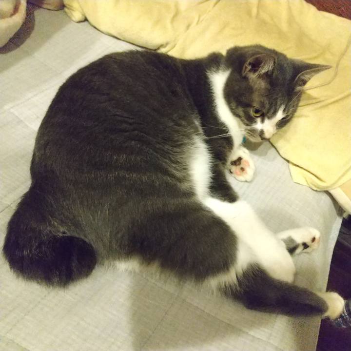 F8e4c39f 5675 4e60 aed1 643eb4bab0c8 1599818077069