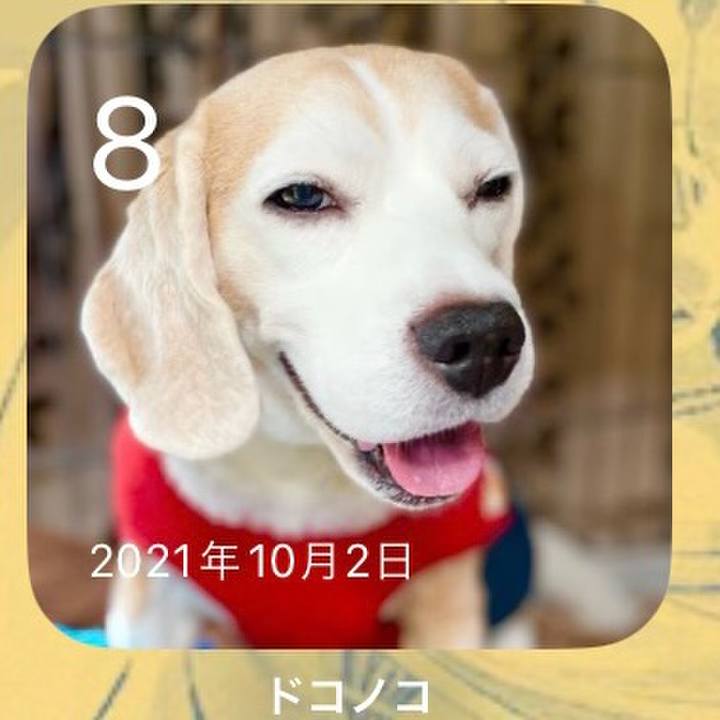 F8e5081b 6de1 43d0 8531 593b7a473422 1696724545253