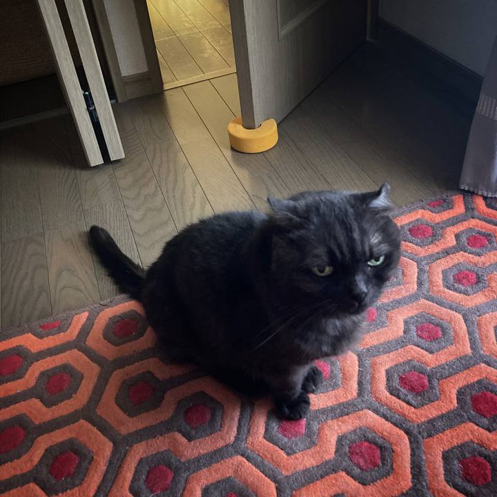 F8e536a7 80cf 44e3 a641 a800bfafdc63 1630298280434