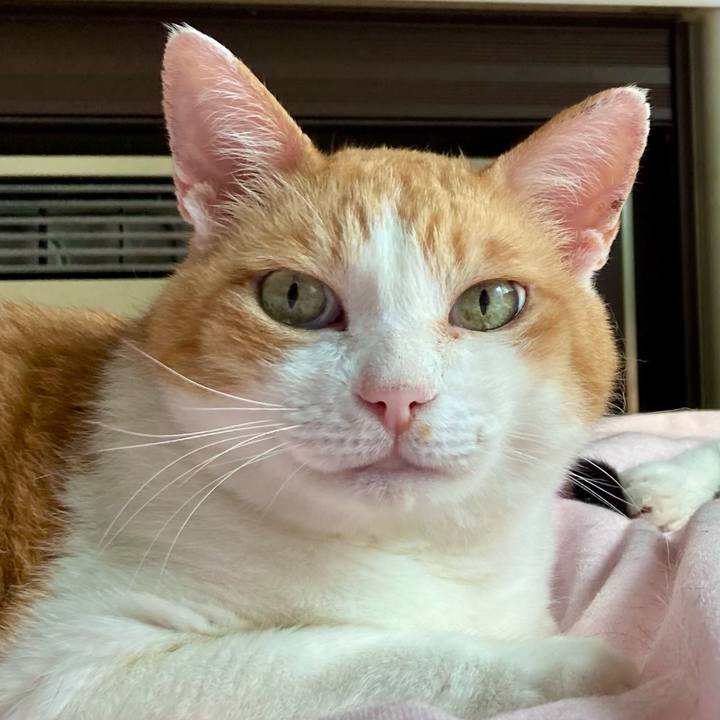 F8e576ad c37f 4532 8322 a111bde7c70b 1659165194843