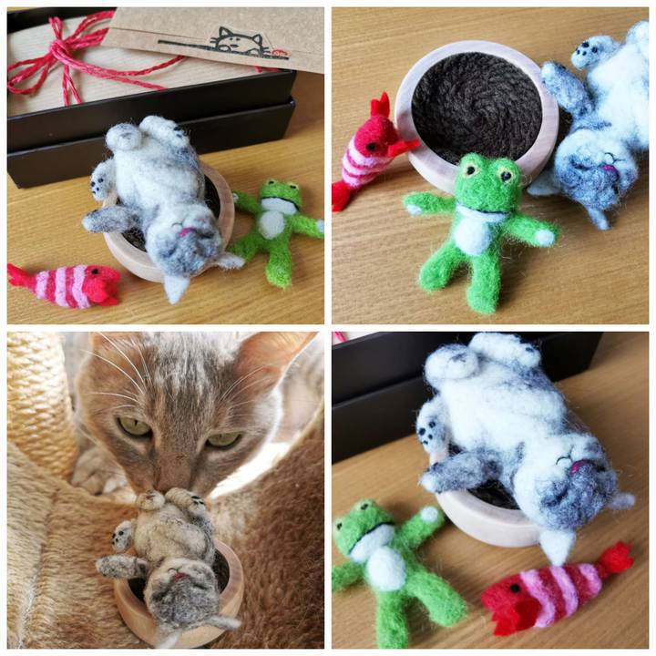 F8e57b1a dd80 4b44 84ba a9fcd4cf338f 1621433973409