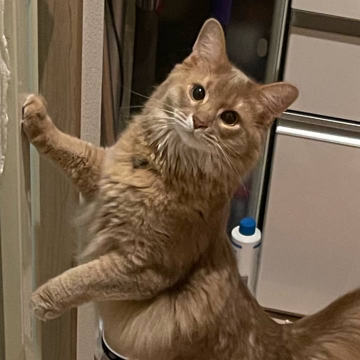 F8e5b20c 13ca 4bcd a27a 87269ea4d8b7 1607231930049