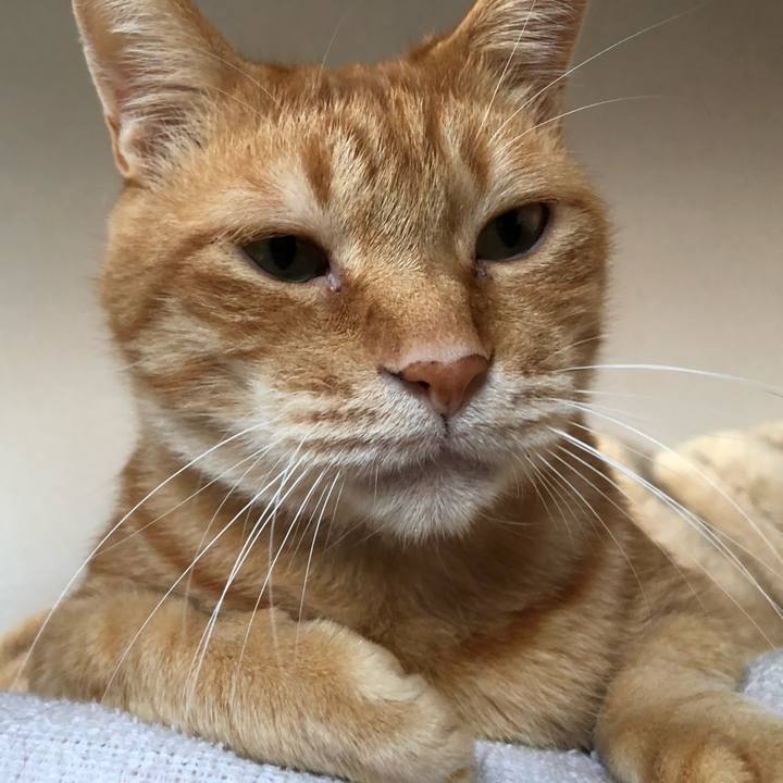 F8e5b4cc b6b8 48d9 a659 f5b21e607f4a 1604526225206