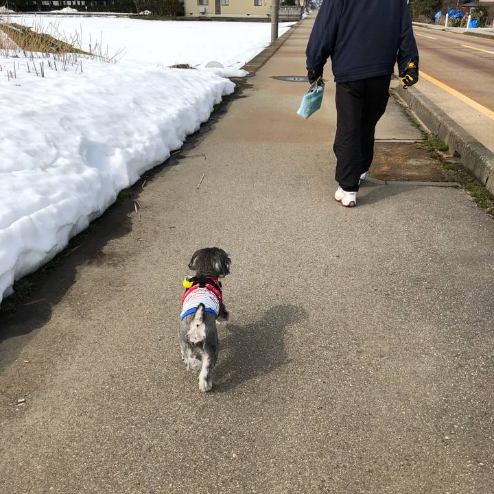 F8e5c0ad 8f9f 48b5 b374 e68a9a53bfde 1519536642295