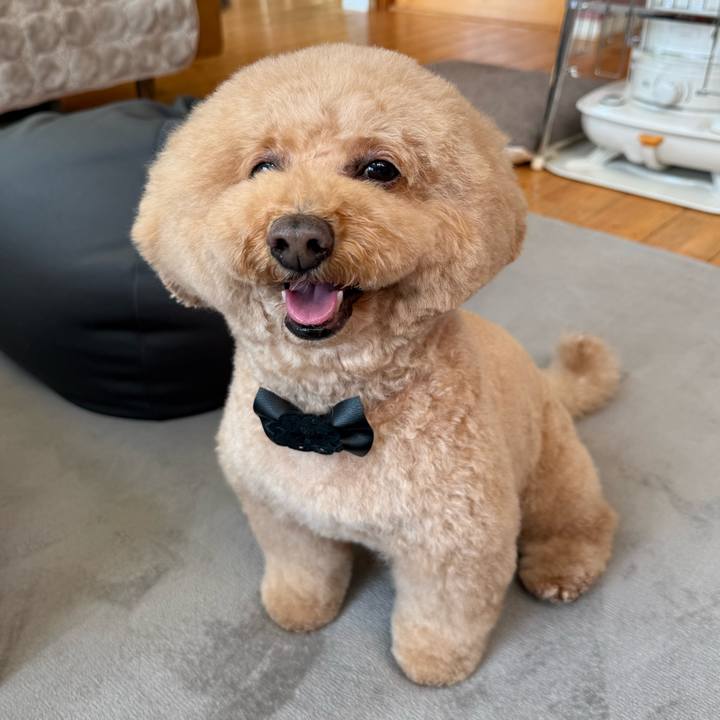 F8e5cdf9 2c63 43d2 b0df f5d8e49d35f6 1768779419463