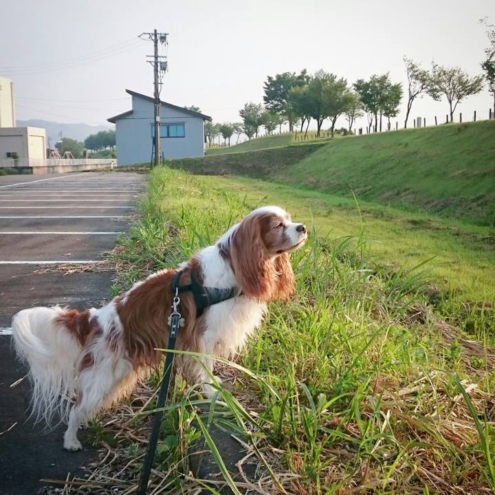 F8e5d14d 17a9 45e3 93e9 53cc3bef6835 1529961832725