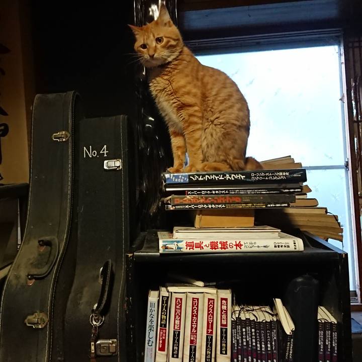 F8e5e780 5237 4b9a 9fde 1285c1fbaa5d 1660816338809