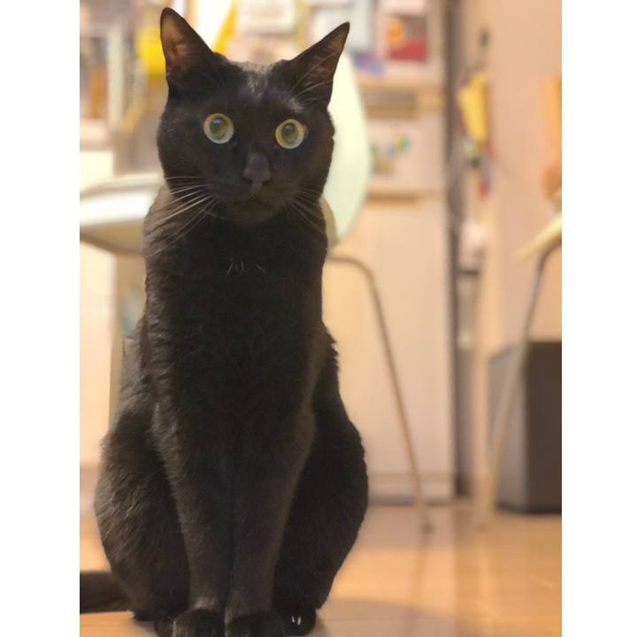 F8e6719a 6ca2 4244 a27b a15707e67c59 1516712026906