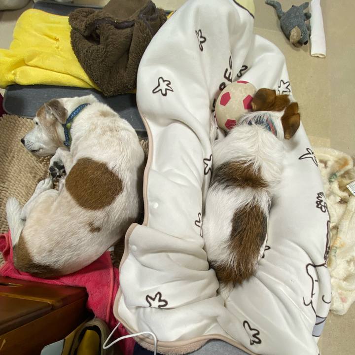 F8e67ed9 9b83 44a9 98aa 002c7ae11335 1698496449891