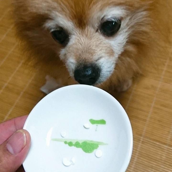 F8e68422 f8ef 45fe 9acc 84b10fc4905c 1532676486587