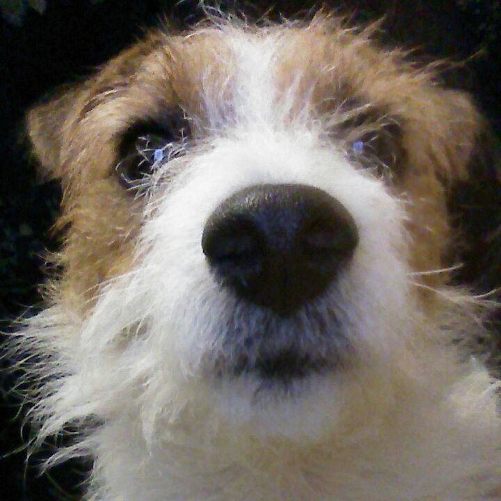 F8e6b5c5 8f30 4c3e a8e1 01cc8ba706c3 1538039937744