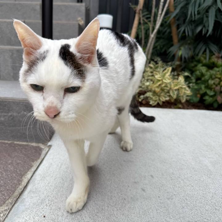 F8e6c915 ddee 466c 8c67 30fc8d459ea8 1766469584682