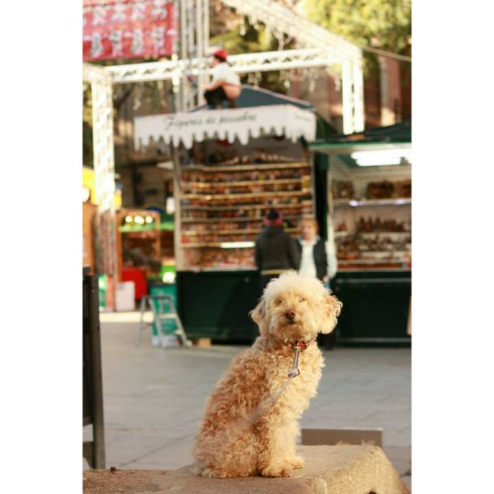 F8e6d084 73e3 4c0b b8fa add5e96a9ae5 1543941462287