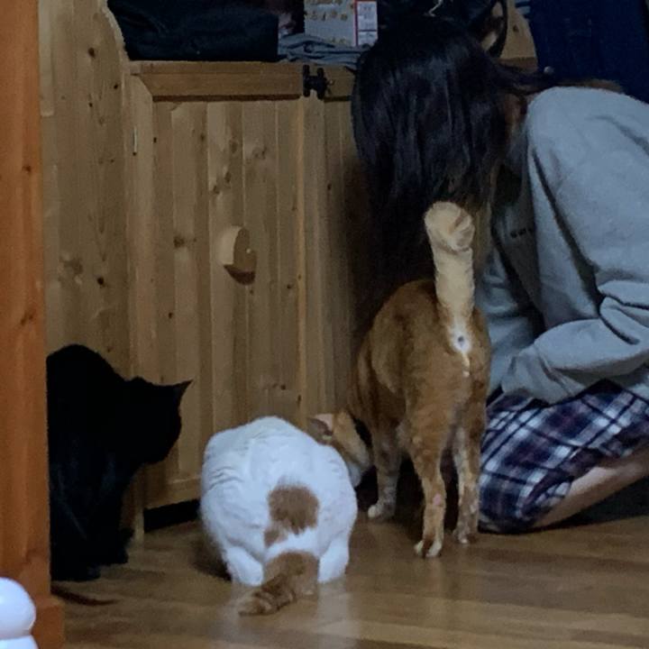 F8e6dddf c206 4589 a960 ba3b877e40e2 1586961888131