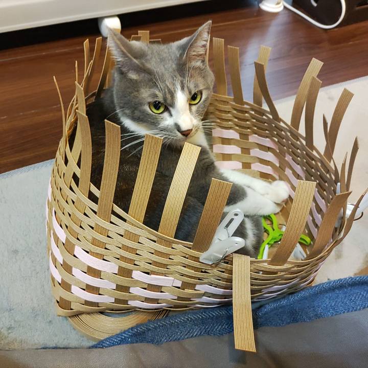 F8e70635 38e1 497b a7ea d184cddbf84d 1660398453430