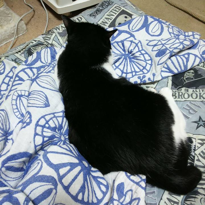 F8e7275d fb9e 4cc7 94c4 1a4ba2411734 1532220462549