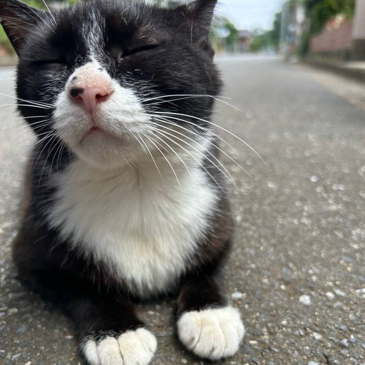 F8e7335c bd5a 454c a8b3 e8fad733e313 1752233688812