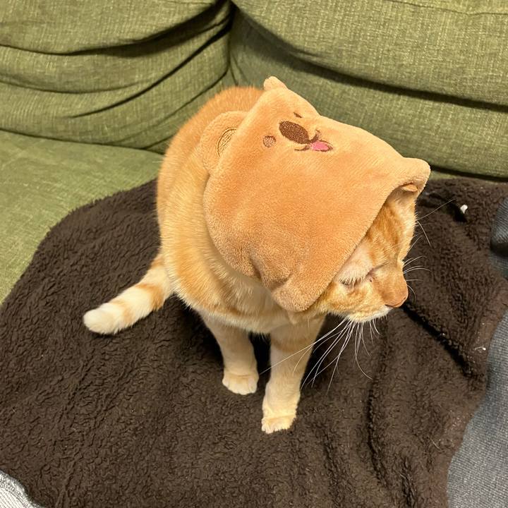 F8e76050 73f2 4af4 bb67 ee2440403e32 1765697163171