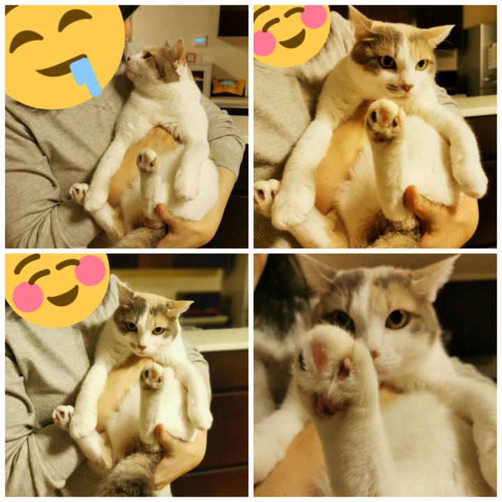 F8e77990 5836 473f aa36 5892886f428f 1634789795044