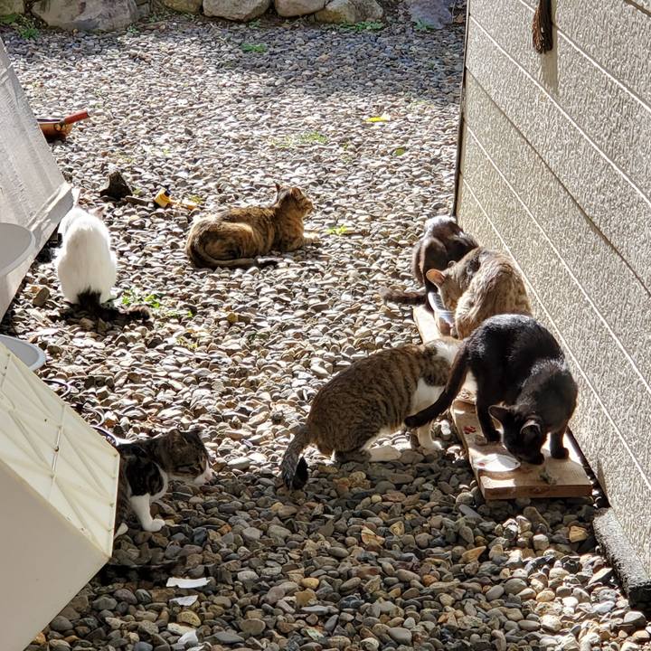 F8e7d129 867c 4668 b6df 774cd35c84ab 1696942969500