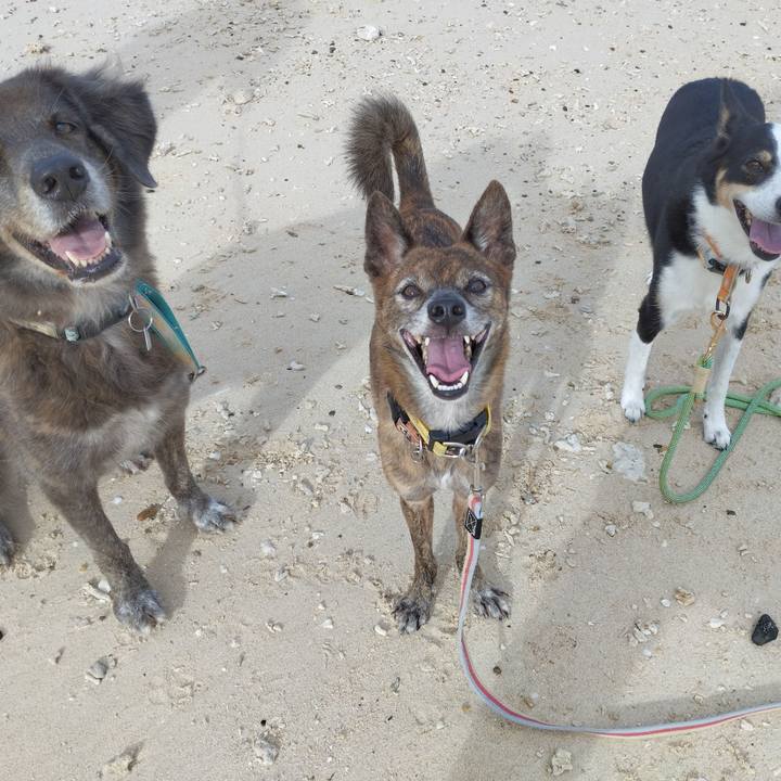 F8e7da3d 36d2 421c a2f0 d7f47244b8ea 1735793756498