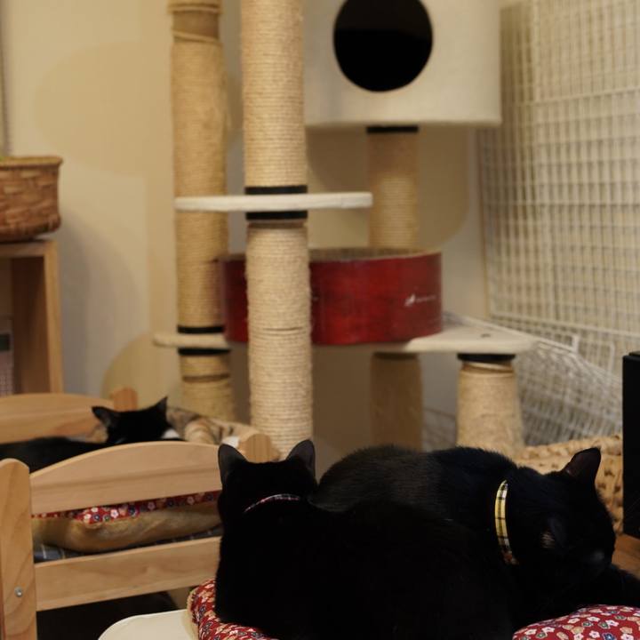 F8e7e316 3c90 4cab a139 0898f1d7e771 1575934930623