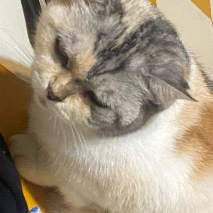 F8e80140 8bf5 460e bdf3 c52b4fae409c 1728656596190