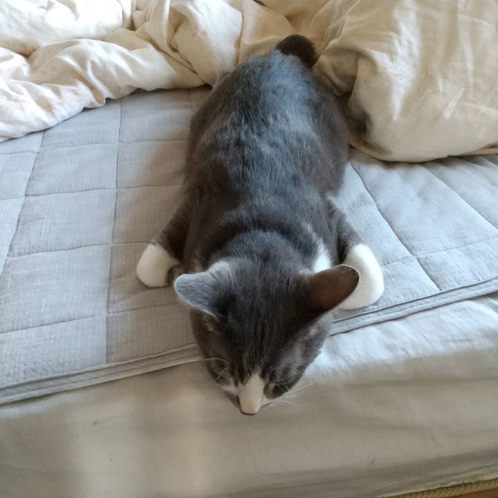 F8e8114c 5775 4d36 9730 252644800aa9 1619041899866