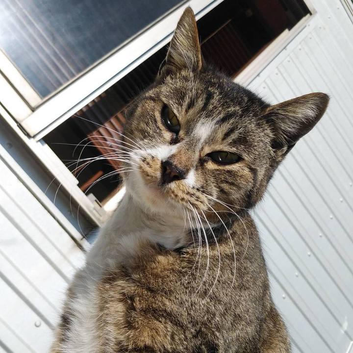 F8e848a2 a3fc 43ae a9f1 e93bb4aa2ae4 1582506625015