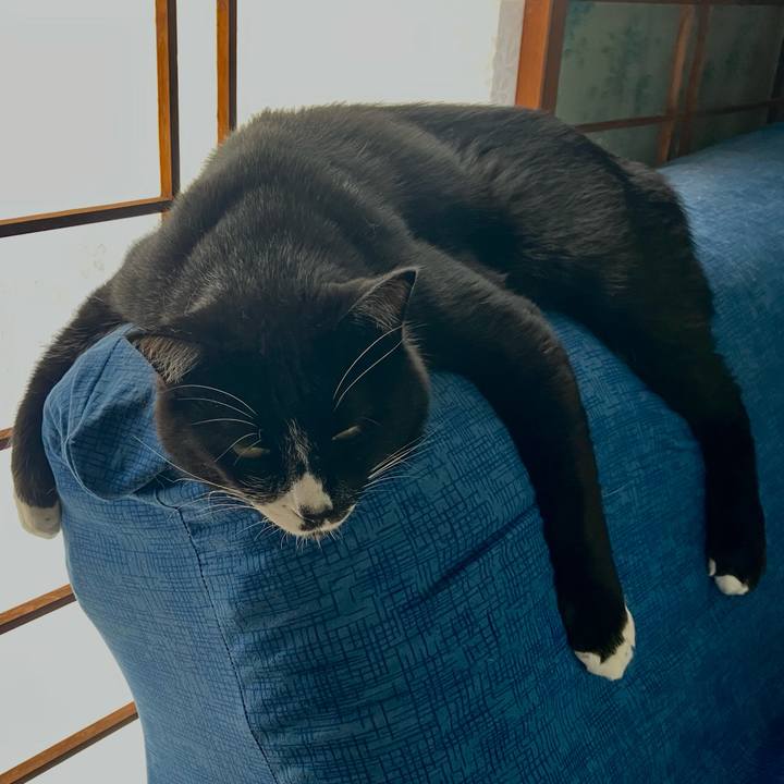 F8e854fd 0c54 4855 a2ce fde3a8f1cc70 1754368790846